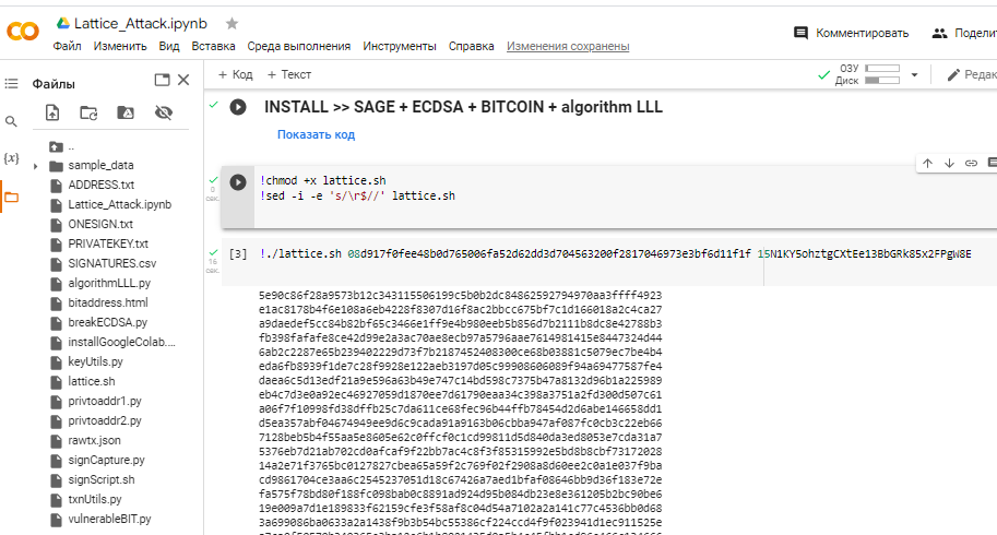 Run Bash script: lattice.sh